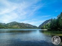 12IMG_20240515_105219-Kopie