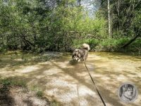 3IMG_20240515_103909-Kopie
