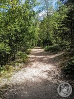 7IMG_20240515_104900-Kopie