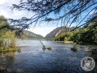 9IMG_20240515_105126-Kopie