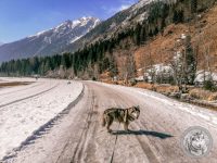 102IMG_20220311_115944-Kopie