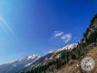 104IMG_20220311_115950-Kopie