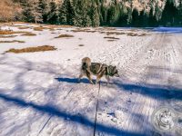 5IMG_20220309_100442-Kopie