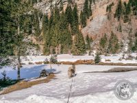 83IMG_20220311_113356-Kopie