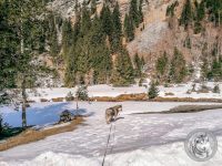 84IMG_20220311_113358-Kopie