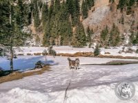 86IMG_20220311_113402-Kopie