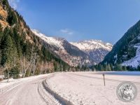 87IMG_20220311_113410-Kopie