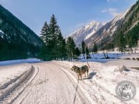 89IMG_20220311_113446-Kopie