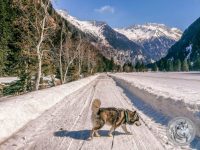 90IMG_20220311_113512-Kopie