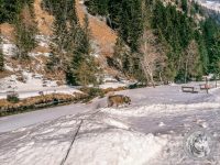 91IMG_20220311_113638-Kopie