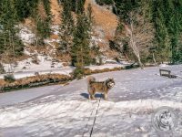 93IMG_20220311_113644-Kopie