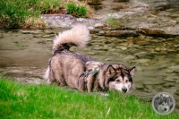 IMG_6577-Kopie