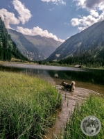 IMG_20210730_110718