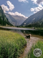 IMG_20210730_110719