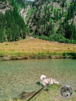 IMG_20210730_111934