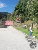 IMG_20210826_134105-Kopie