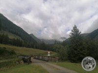 IMG_20210827_094217-Kopie