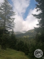 IMG_20210827_094922-Kopie