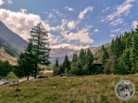 IMG_20210908_144327-Kopie