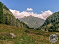 IMG_20210908_144333-Kopie