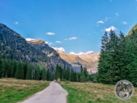 IMG_20210908_180146-Kopie