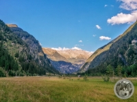 IMG_20210908_180853-Kopie