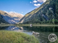 IMG_20210908_181233-Kopie