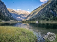 IMG_20210908_181246-Kopie