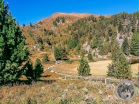 IMG_20210909_115748-Kopie