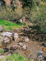 IMG_20210909_140934-Kopie
