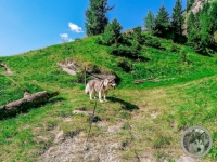 IMG_20210909_141032-Kopie