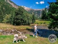 IMG_20210910_124229-Kopie