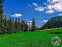 IMG_20210910_124502-Kopie