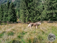 IMG_20210910_124537-Kopie