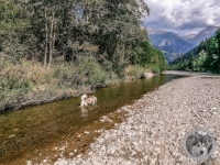 IMG_20210911_115003-Kopie