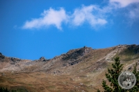 IMG_7064-Kopie