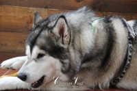 IMG_6256-Kopie