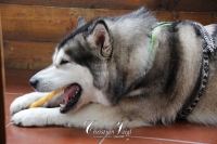 IMG_6258-Kopie
