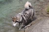 IMG_6269-Kopie