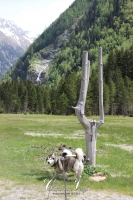 IMG_6293-Kopie