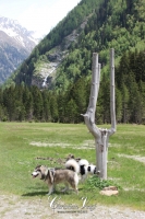 IMG_6294-Kopie