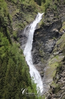 IMG_6297-Kopie