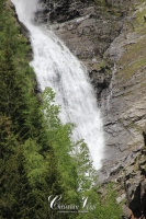 IMG_6299-Kopie