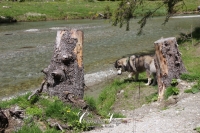 IMG_6301-Kopie