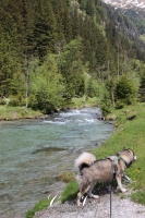 IMG_6308-Kopie