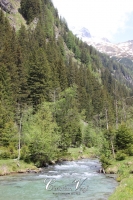 IMG_6309-Kopie