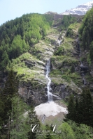 IMG_6311-Kopie