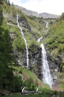 IMG_6329-Kopie