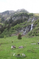 IMG_6358-Kopie