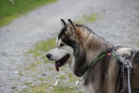IMG_6361-Kopie